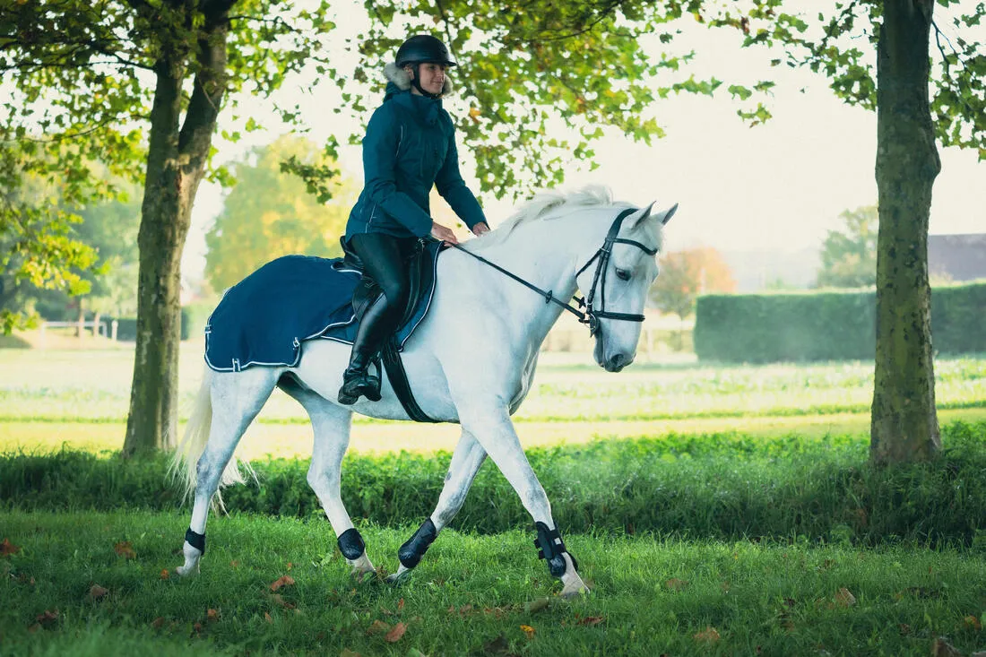 Fetlock Boots for Horses 500 Twin-Pack